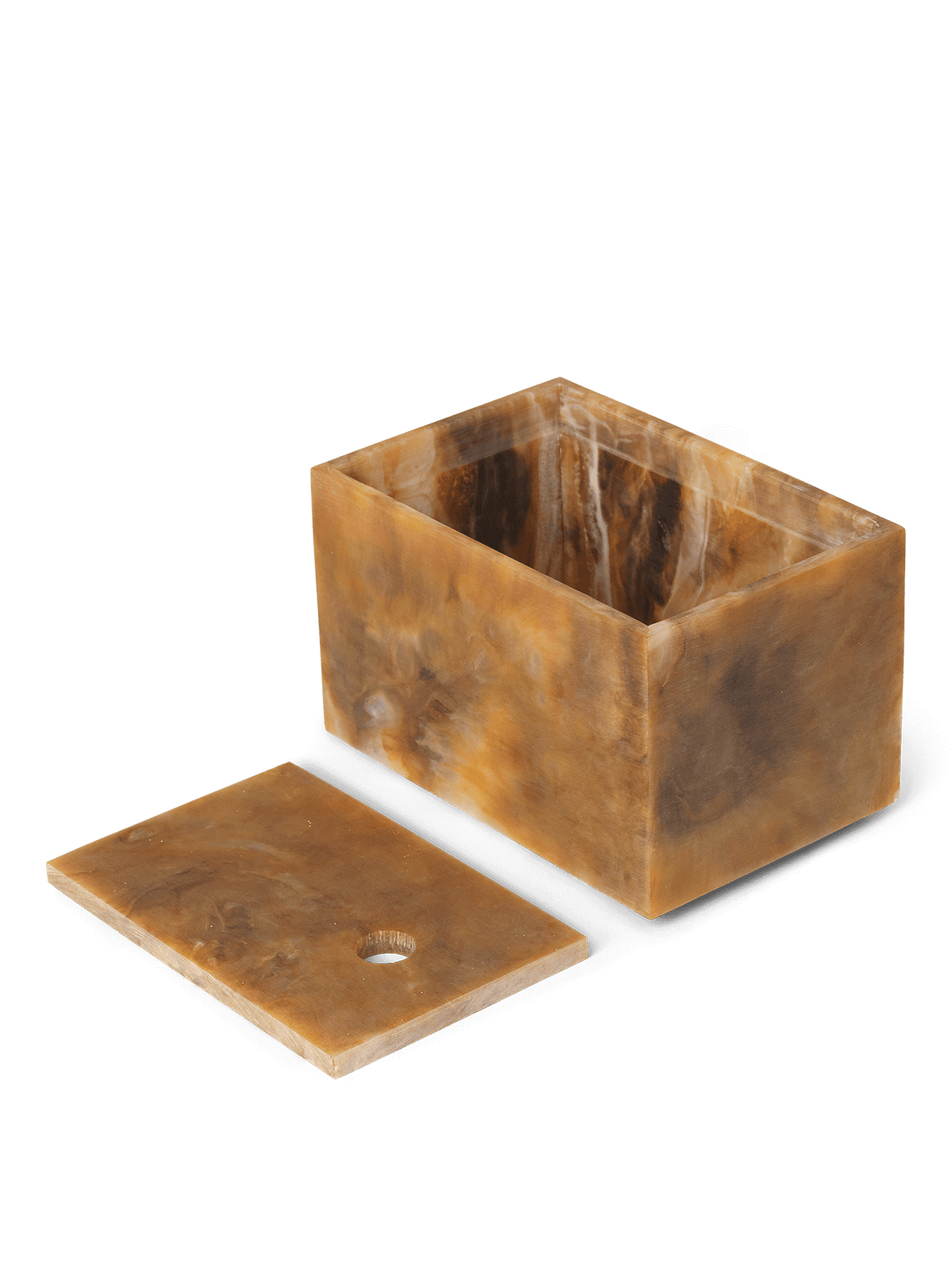 Mist Box - Sugar Kelp